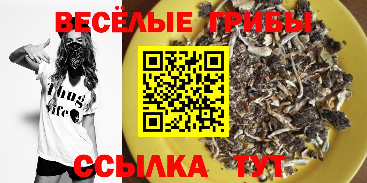 Кемерово  Псилоцибиновые грибы ЛСД  дарнет шоп  Вход с VPN 