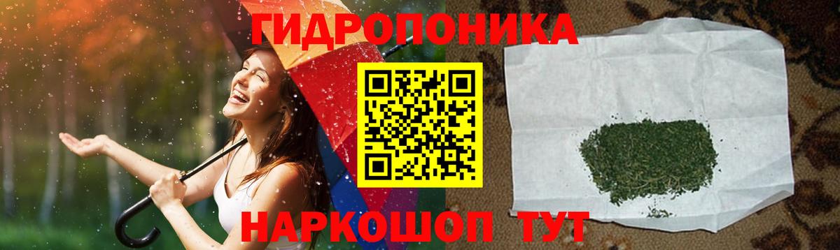 Псилоцибиновые грибы Кемерово